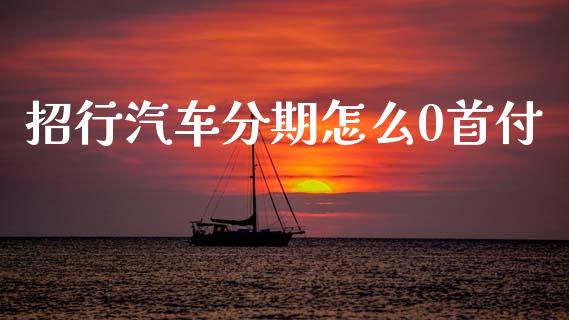 招行汽车分期怎么0首付_https://m.ycdhulan.com_财经要闻_第1张