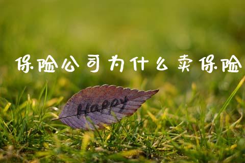 保险公司为什么卖保险_https://m.ycdhulan.com_国际金融_第1张