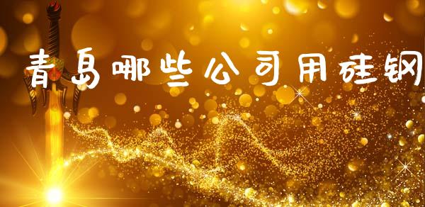 青岛哪些公司用硅钢_https://m.ycdhulan.com_理财产品_第1张