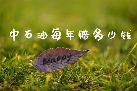 中石油每年赔多少钱_https://m.ycdhulan.com_财经要闻_第1张