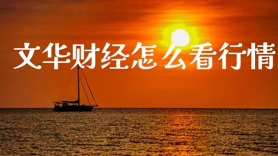 文华财经怎么看行情_https://m.ycdhulan.com_国际金融_第1张
