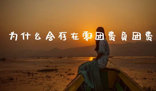 为什么会存在零团费负团费_https://m.ycdhulan.com_财经要闻_第1张
