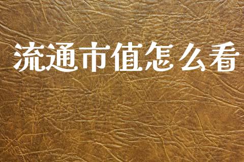 流通市值怎么看_https://m.ycdhulan.com_股市在线_第1张