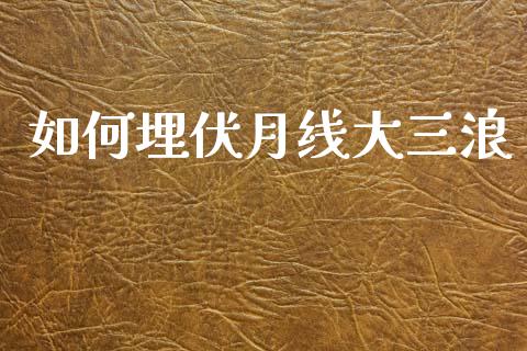 如何埋伏月线大三浪_https://m.ycdhulan.com_国际金融_第1张