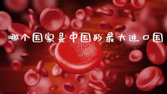 哪个国家是中国的最大进口国_https://m.ycdhulan.com_股市在线_第1张