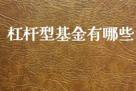 杠杆型基金有哪些_https://m.ycdhulan.com_证券新闻_第1张