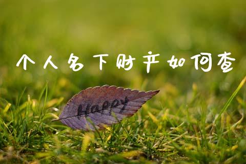 个人名下财产如何查_https://m.ycdhulan.com_股市在线_第1张