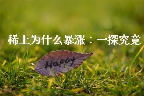 稀土为什么暴涨：一探究竟_https://m.ycdhulan.com_证券新闻_第1张