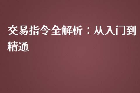 交易指令全解析：从入门到精通_https://m.ycdhulan.com_股市在线_第1张
