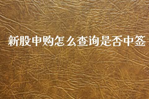 新股申购怎么查询是否中签_https://m.ycdhulan.com_国际金融_第1张