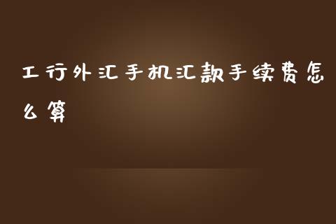 工行外汇手机汇款手续费怎么算_https://m.ycdhulan.com_期货交易_第1张