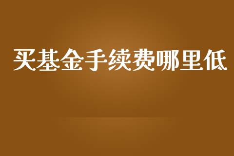 买基金手续费哪里低_https://m.ycdhulan.com_国际金融_第1张