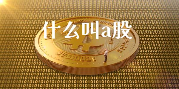 什么叫a股_https://m.ycdhulan.com_股市在线_第1张