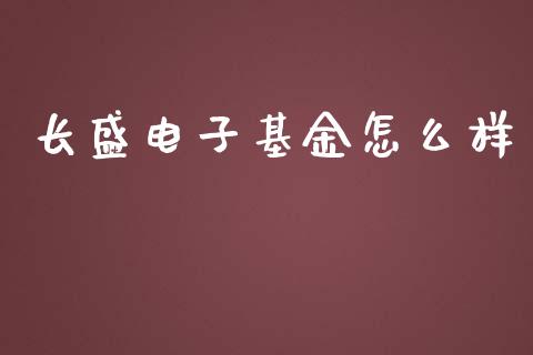 长盛电子基金怎么样_https://m.ycdhulan.com_财经要闻_第1张