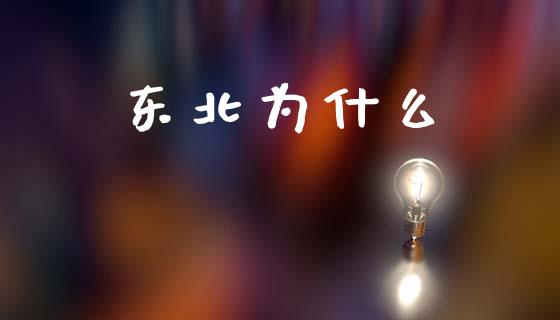 东北为什么_https://m.ycdhulan.com_股市在线_第1张