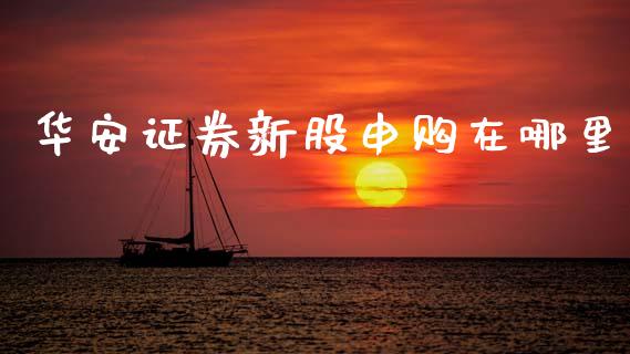华安证券新股申购在哪里_https://m.ycdhulan.com_股市在线_第1张
