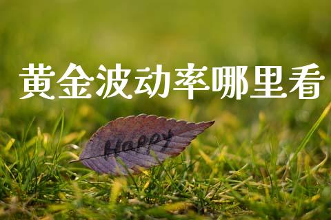 黄金波动率哪里看_https://m.ycdhulan.com_股市在线_第1张
