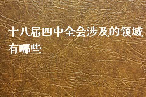 十八届四中全会涉及的领域有哪些_https://m.ycdhulan.com_财经要闻_第1张