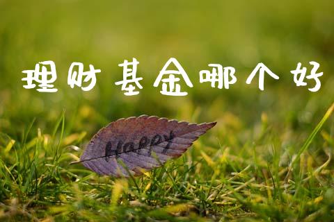 理财基金哪个好_https://m.ycdhulan.com_股市在线_第1张
