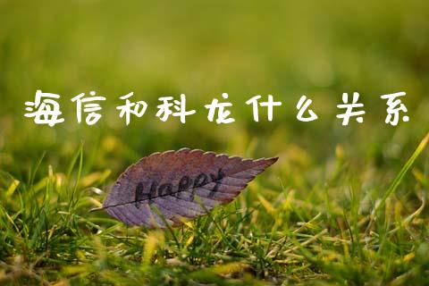 海信和科龙什么关系_https://m.ycdhulan.com_理财产品_第1张