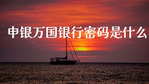 申银万国银行密码是什么_https://m.ycdhulan.com_财经要闻_第1张