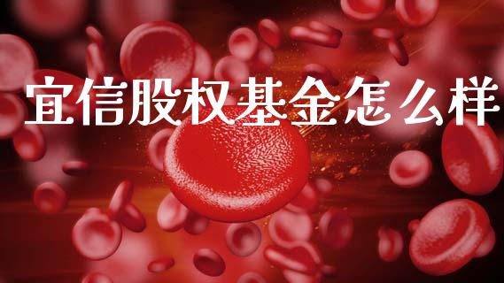 宜信股权基金怎么样_https://m.ycdhulan.com_理财产品_第1张