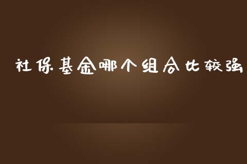 社保基金哪个组合比较强_https://m.ycdhulan.com_国际金融_第1张