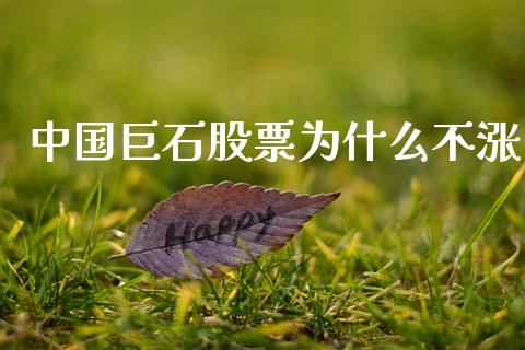 中国巨石股票为什么不涨_https://m.ycdhulan.com_股市在线_第1张