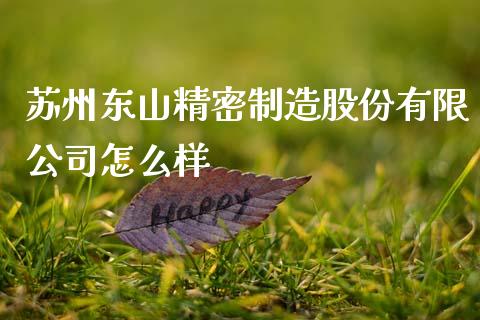 苏州东山精密制造股份有限公司怎么样_https://m.ycdhulan.com_财经要闻_第1张