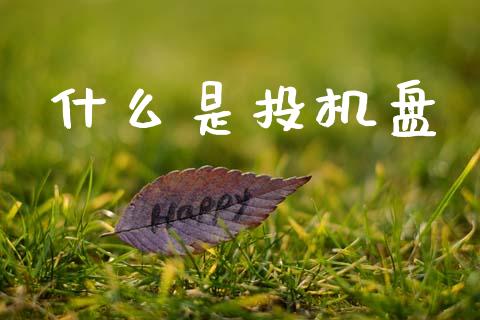 什么是投机盘_https://m.ycdhulan.com_理财产品_第1张