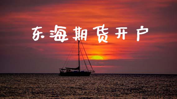 东海期货开户_https://m.ycdhulan.com_证券新闻_第1张