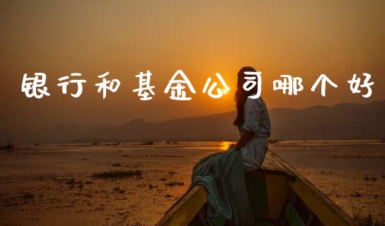银行和基金公司哪个好_https://m.ycdhulan.com_财经要闻_第1张