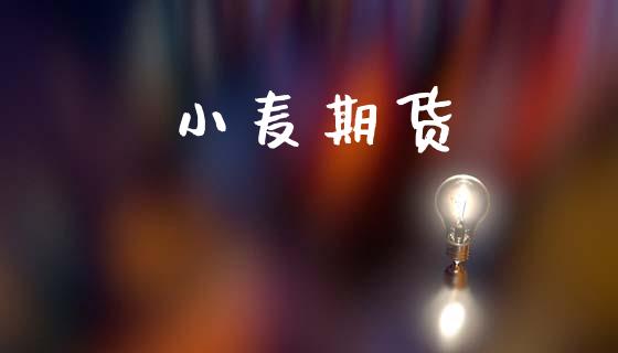 小麦期货_https://m.ycdhulan.com_理财产品_第1张