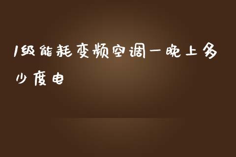 1级能耗变频空调一晚上多少度电_https://m.ycdhulan.com_财经要闻_第1张