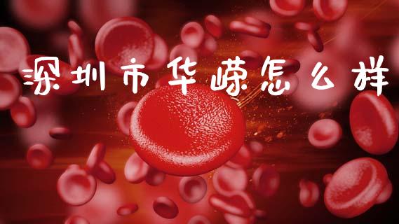 深圳市华嵘怎么样_https://m.ycdhulan.com_财经要闻_第1张
