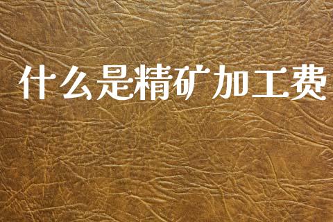 什么是精矿加工费_理财产品_第1张_财经要闻_股市在线_理财产品_国际金融 什么是精矿加工费_https://m.ycdhulan.com_理财产品_第1张