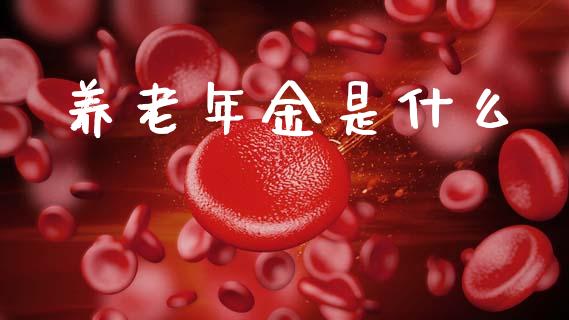 养老年金是什么_https://m.ycdhulan.com_股市在线_第1张
