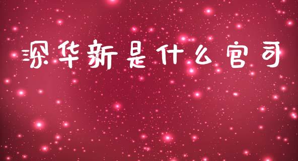 深华新是什么官司_https://m.ycdhulan.com_国际金融_第1张
