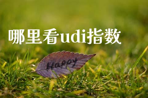 哪里看udi指数_https://m.ycdhulan.com_期货交易_第1张