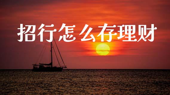 招行怎么存理财_https://m.ycdhulan.com_证券新闻_第1张