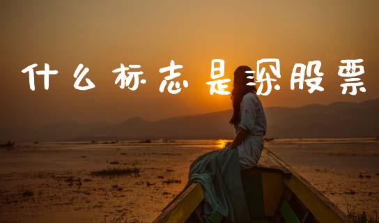 什么标志是深股票_https://m.ycdhulan.com_财经要闻_第1张