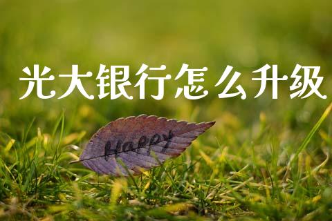 光大银行怎么升级_https://m.ycdhulan.com_理财产品_第1张