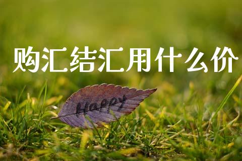购汇结汇用什么价_https://m.ycdhulan.com_理财产品_第1张