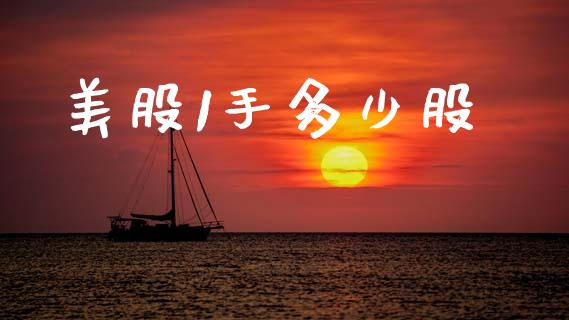 美股1手多少股_https://m.ycdhulan.com_理财产品_第1张