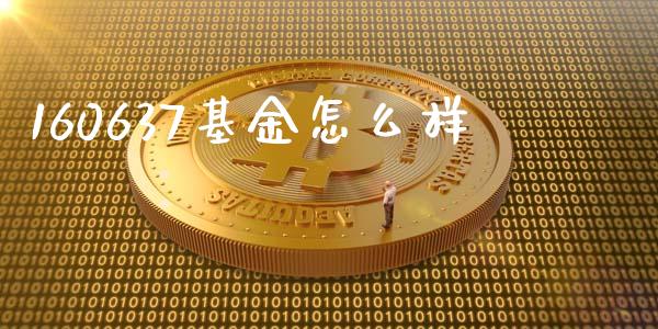 160637基金怎么样_https://m.ycdhulan.com_财经要闻_第1张