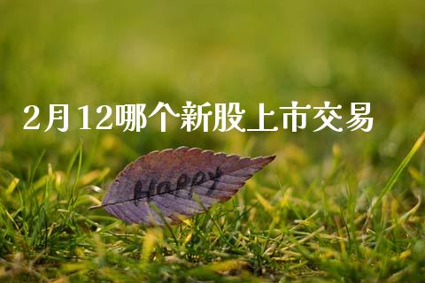 2月12哪个新股上市交易_https://m.ycdhulan.com_财经要闻_第1张