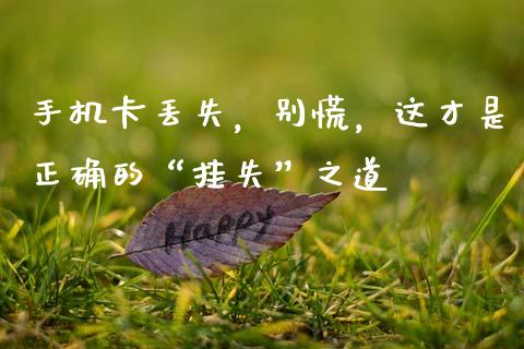 手机卡丢失，别慌，这才是正确的“挂失”之道_https://m.ycdhulan.com_证券新闻_第1张