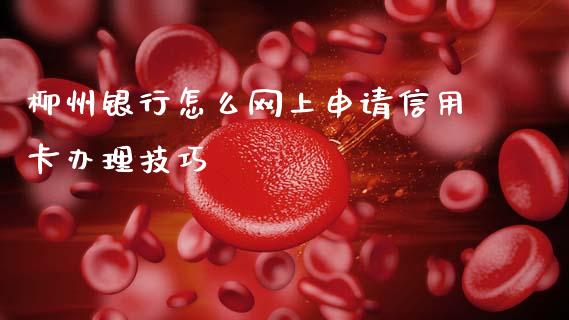 柳州银行怎么网上申请信用卡办理技巧_https://m.ycdhulan.com_财经要闻_第1张