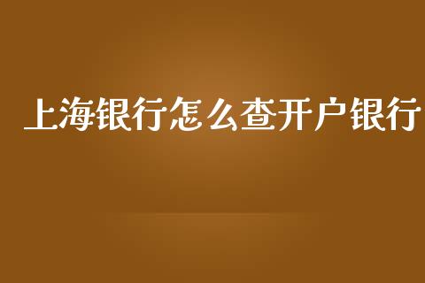 上海银行怎么查开户银行_https://m.ycdhulan.com_证券新闻_第1张