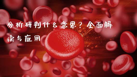 分析研判什么意思？全面解读与应用_https://m.ycdhulan.com_国际金融_第1张